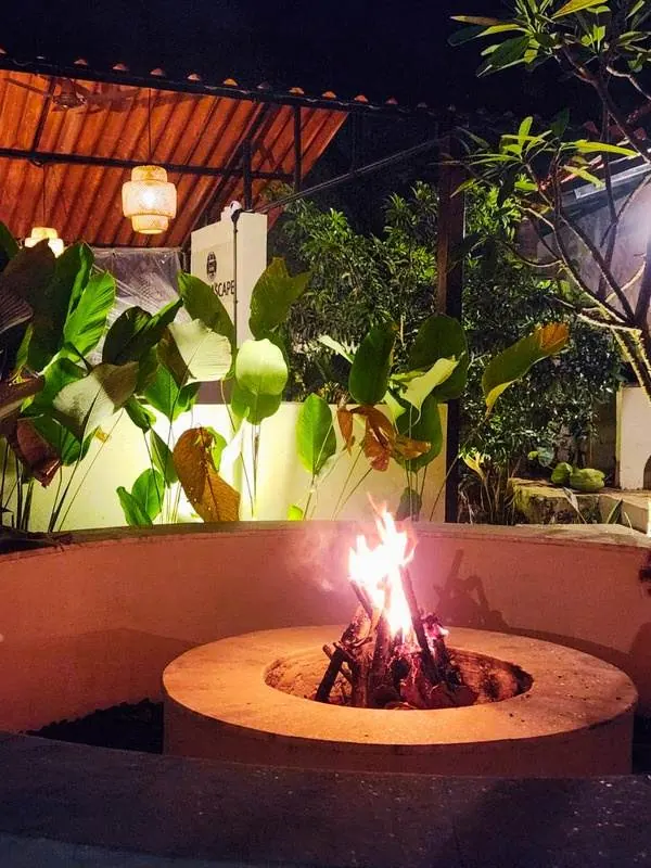 Bonfire lit at night amid tropical plants